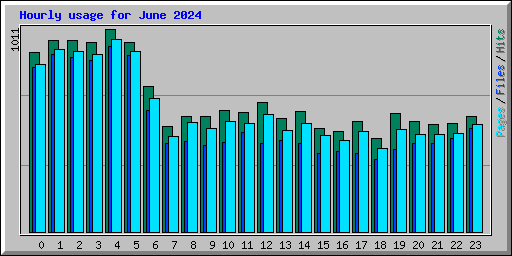 Hourly usage for June 2024